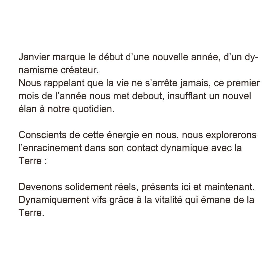 vignette1